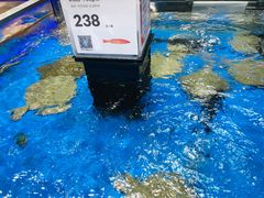 -盒马鲜生(龙德广场店)