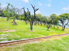 -长洲岛都市农业公园