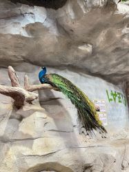 -Zoolung Zoolung动物主题公园(海信广场店)