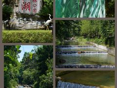 -广州白江湖森林公园