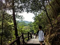 -广州白江湖森林公园