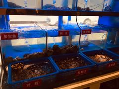 -小龍鳳·港式海鲜打边炉(沙湖路店)