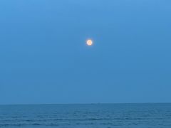 -日照海滨国家森林公园