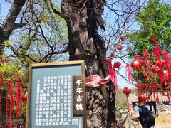 -水峪民俗村