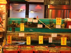 水产区-鲜入围煮花胶鸡海鲜火锅