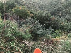 -北京西山滑雪场