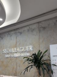 -上海首尔丽格医疗美容医院