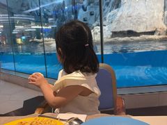 -帝企鹅自助餐厅•儿童岛•真企鹅(长隆企鹅酒店)