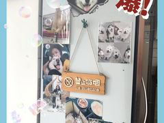 -星多哈·狗咖·拼豆·咖啡