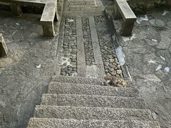 -鸿山公园