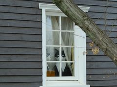 -三鹰之森吉卜力美术馆