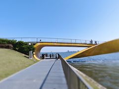 -春花秋色城市公园