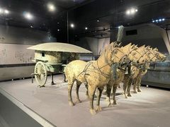 -秦始皇帝陵博物院-丽山园