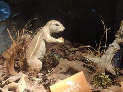 -陕西自然博物馆