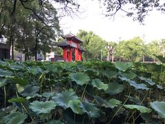 -四川大学(望江校区)