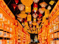 -欢乐海岸椰林沙滩-2025湾区超级灯会