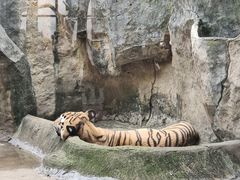 -南昌动物园