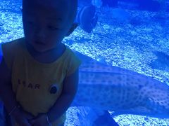 -台州海洋世界