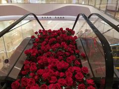 -Angelina安吉丽娜(恒隆广场店)