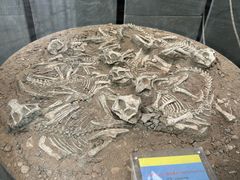 -房山世界地质公园博物馆