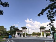 -王借岗森林公园