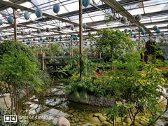 -南宫五洲植物乐园