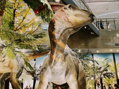 -湖南省地质博物馆