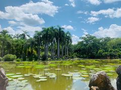 -中国科学院西双版纳热带植物园