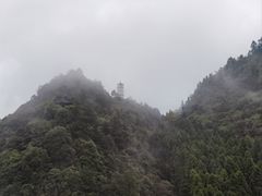 -娄山关景区