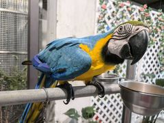 -观桥阁(锦溪店)