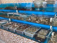 水产区-港畔赶海蒸汽海鲜烧烤自助(仙螺岛店)