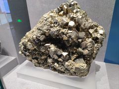 -贵州省地质博物馆