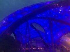游乐设施-上海迪士尼度假区