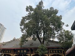 -古大圣慈寺