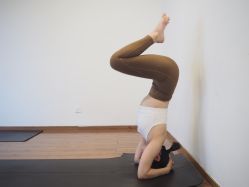 点击看大图 -Y+U遇瑜伽·普拉提