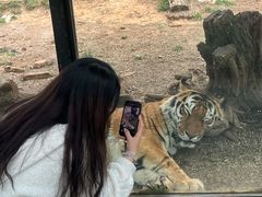-昆明动物园