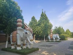 -永定河休闲森林公园