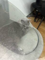 -飛凡TATTOO纹身•原创