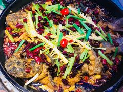 -老板恋上鱼(恒隆广场店)