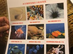 -卡帕莱度假村(西巴丹岛)