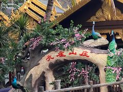 -西双版纳原始森林公园