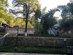 -镇江市南山风景名胜区竹林景区