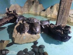 -绿色星球动物主题公园