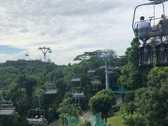 -圣淘沙天际线斜坡滑车