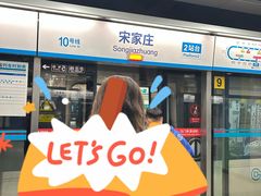 -宋家庄(地铁站)