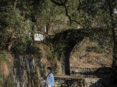 -塔川景区
