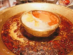 -哥老官重庆美蛙鱼头(龙湖杭州金沙天街店)