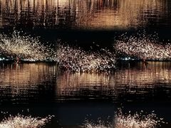 -南京珍珠泉风景区