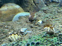 -沈阳海洋探索中心