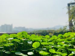 -罗亚帝·NASHOW纳秀形象设计